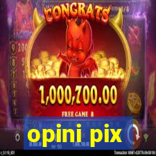 opini pix